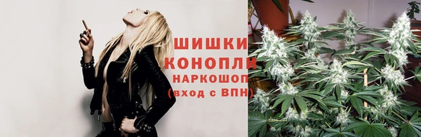 spice Бородино