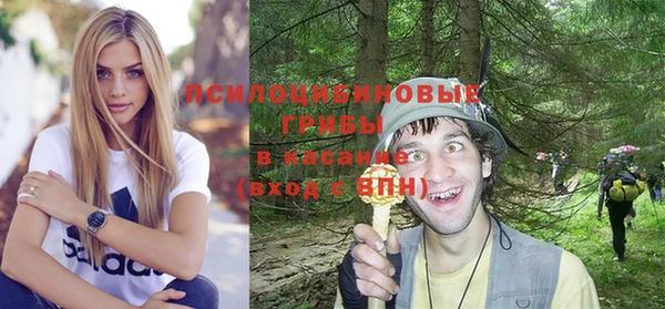 дживик Бугульма