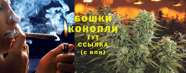 spice Бородино