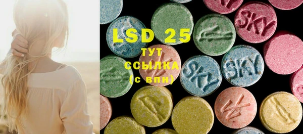spice Бородино